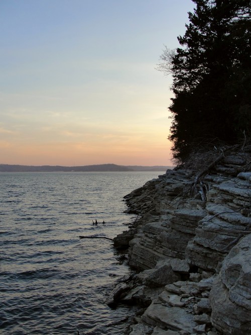 A rocky shoreline at sunset, with calm water and trees silhouetted against a colorful sky.