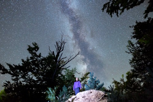 A person stands on a rock under a starry sky, with the Milky Way visible above and trees surrounding the scene.