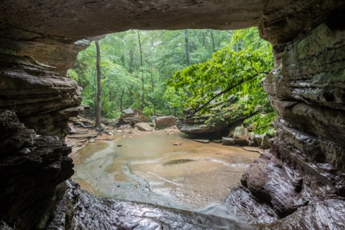 A serene view of a rocky cave opening, revealing a lush green forest and a calm stream below.