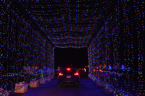 A car drives through a colorful tunnel of bright holiday lights at night.