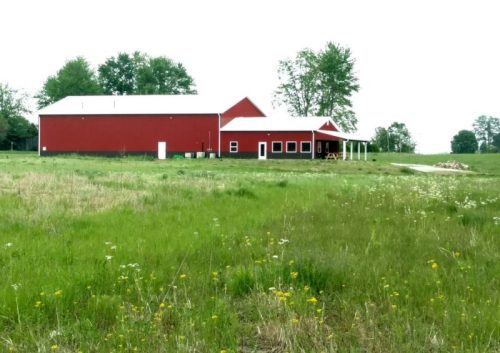 A red barn with a white roof sits in a grassy field, surrounded by trees and wildflowers under a cloudy sky.