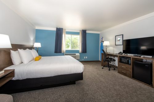 A modern hotel room featuring a queen bed, desk, TV, and window with natural light.