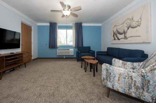 A cozy living room with a blue sofa, patterned chairs, a TV, and a large rhino painting on the wall.