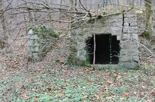 An old, moss-covered stone structure partially hidden by trees and foliage in a forested area.