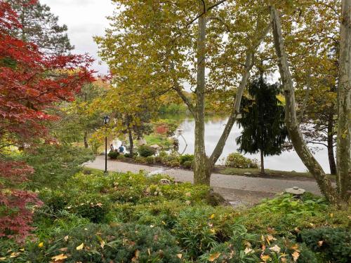 A serene park scene with colorful trees, a pathway, and a calm lake reflecting the surroundings.