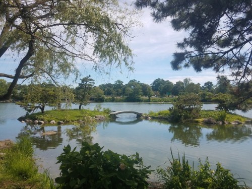 A serene landscape featuring a calm lake, a small bridge, and lush greenery under a clear blue sky.