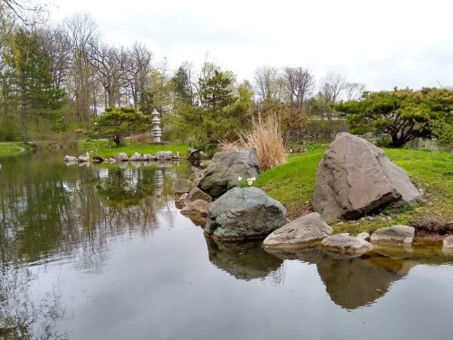 A serene pond surrounded by rocks and greenery, with trees and a stone structure in the background.