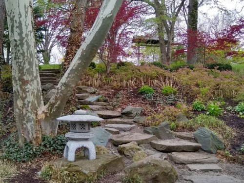 A serene garden path with stone steps, a lantern, and vibrant trees in spring foliage.