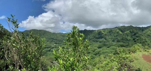 Lush green mountains under a partly cloudy sky, with vibrant foliage in the foreground.