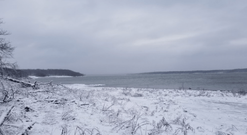 A snowy landscape by a river under a cloudy sky, with bare trees and distant hills in the background.