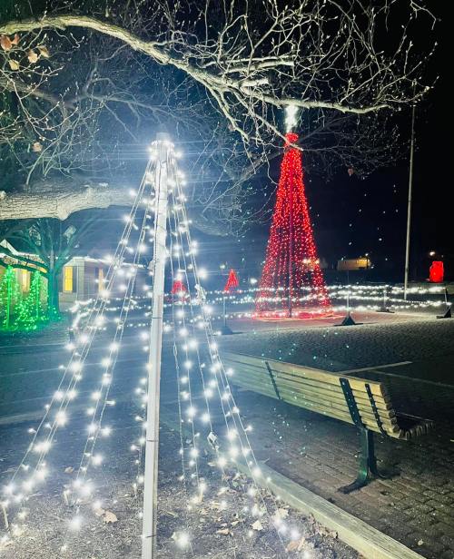 A festive scene at night featuring illuminated Christmas trees and decorations, with white and red lights in a park setting.