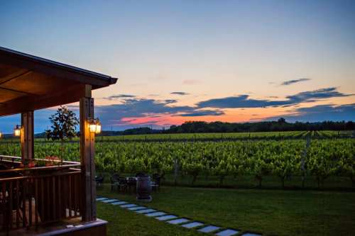A scenic view of a vineyard at sunset, with a wooden deck and soft lighting in the foreground.