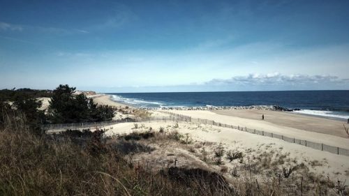 A serene beach scene with gentle waves, sandy dunes, and a clear blue sky, framed by sparse vegetation.