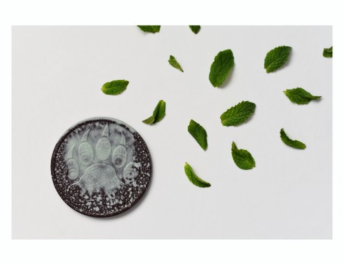 A round, dark chocolate disc with a paw print design, surrounded by scattered mint leaves on a white background.