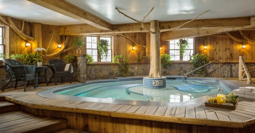 Cozy indoor spa with a wooden decor, featuring a hot tub, plants, and comfortable seating.