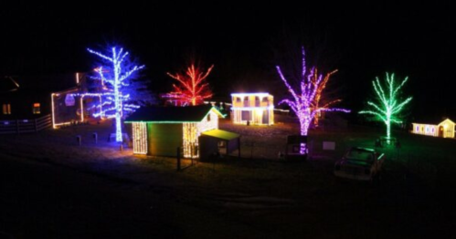 Colorful holiday lights illuminate trees and buildings in a festive nighttime scene.