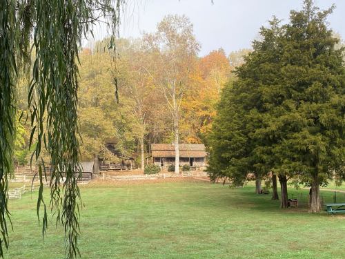 A serene landscape featuring a grassy field, trees with autumn foliage, and a rustic building in the background.