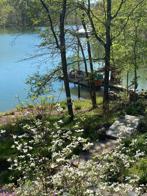A serene lakeside view with blooming flowers, trees, and a docked boat on calm water.