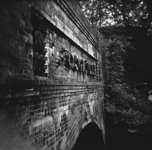 A weathered brick wall covered in vines, with some bricks missing, set in a lush, overgrown environment.