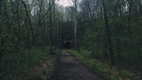 A narrow path leads through a lush forest to a dark tunnel entrance, surrounded by trees and greenery.
