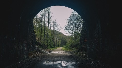 View from inside a dark tunnel, leading to a misty, green forest path. Trees line the sides, creating a serene atmosphere.