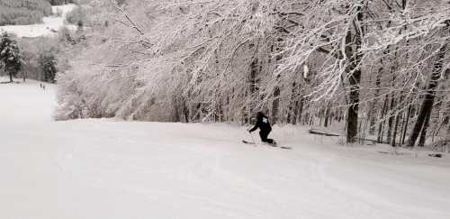 A skier glides down a snowy slope surrounded by frosted trees in a winter landscape.