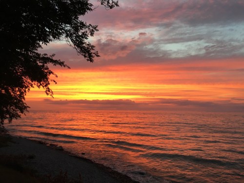 A vibrant sunset over a calm lake, with orange and pink hues reflecting on the water and silhouetted trees in the foreground.