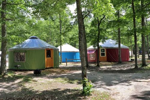 Colorful yurts nestled among trees in a wooded area, with a gravel path and outdoor seating nearby.