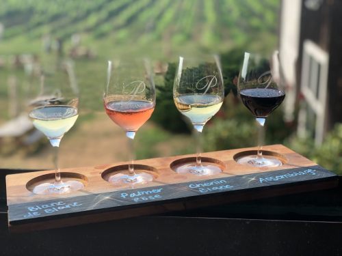 Four wine glasses on a wooden tray, showcasing Blanc de Blanc, Palmer Rosé, Chenin Blanc, and Assemblage against a vineyard backdrop.