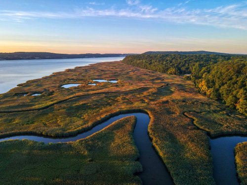 Aerial view of a serene wetland with winding waterways and lush greenery under a clear blue sky.