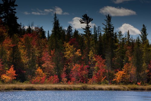 Vibrant autumn foliage reflects on a calm lake, surrounded by tall trees under a blue sky with scattered clouds.