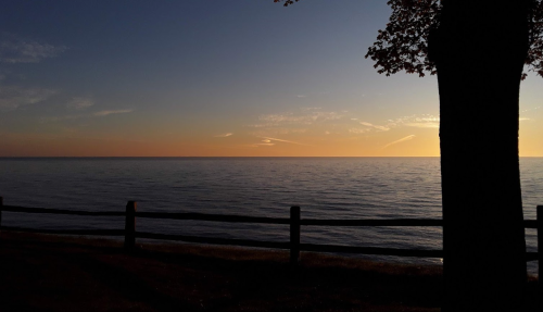 Silhouette of a tree by a calm lake at sunset, with warm colors reflecting on the water and a wooden fence in the foreground.