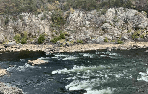 A rocky riverbank with rushing water, surrounded by trees and rugged cliffs under a clear sky.
