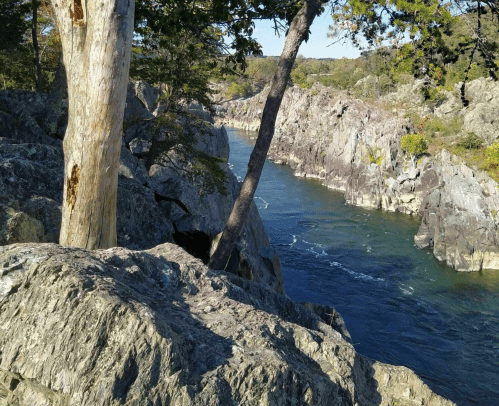 A rocky riverbank with trees, flowing water, and steep cliffs under a clear blue sky.