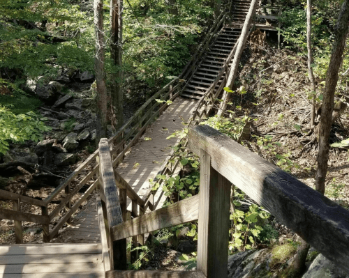 Wooden stairs and pathways winding through a lush, green forest with rocky terrain.
