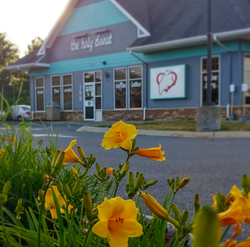A close-up of yellow flowers in front of a blue café building with a sign that reads "the holy donut."