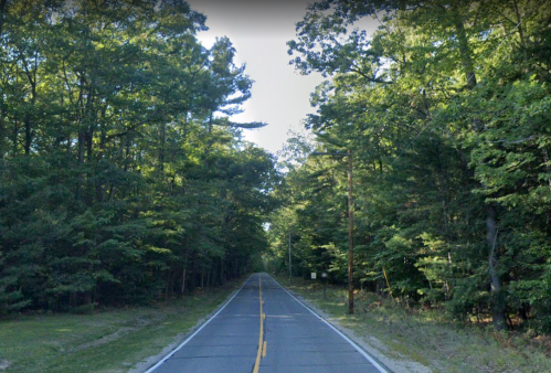 A straight road lined with dense green trees on both sides, leading into a peaceful, wooded area.