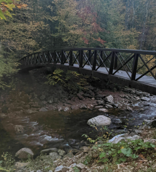 A wooden bridge spans a rocky stream, surrounded by trees with autumn foliage.
