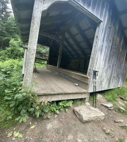 A wooden shelter in a forested area, with a wooden floor and hiking poles leaning against the side.