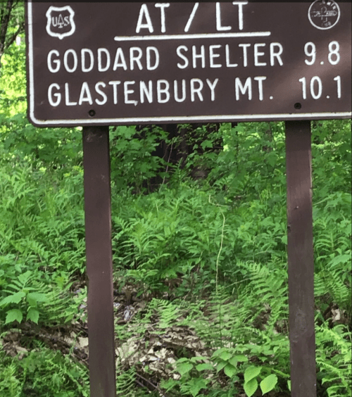 Trail sign indicating distances to Goddard Shelter (9.8 miles) and Glastenbury Mountain (10.1 miles) in a forested area.