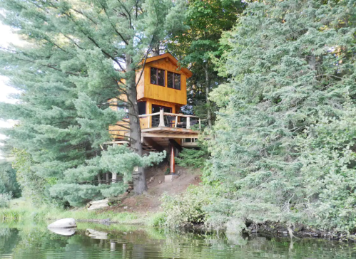 A wooden treehouse perched among tall trees, overlooking a calm body of water.