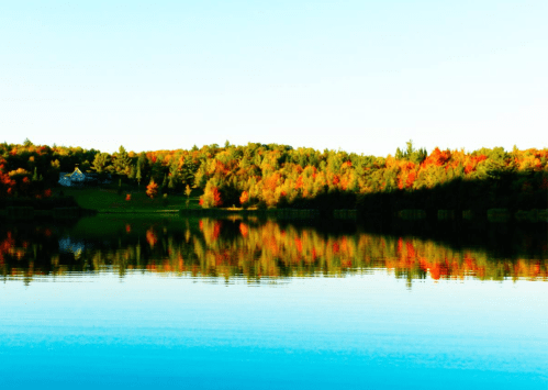 A serene lake reflecting colorful autumn trees and a clear blue sky.