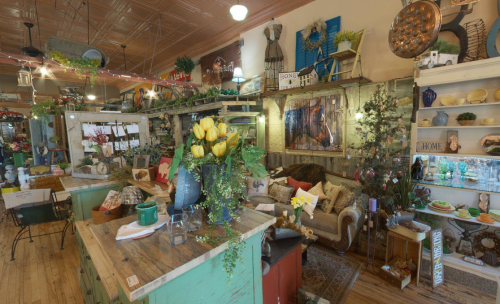 A cozy shop interior filled with vintage decor, plants, and a comfortable seating area, creating a warm atmosphere.