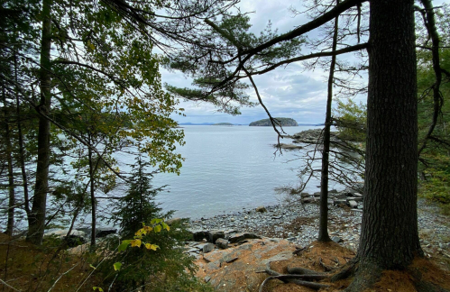 A serene view of a calm lake surrounded by trees, with a distant island visible under a cloudy sky.