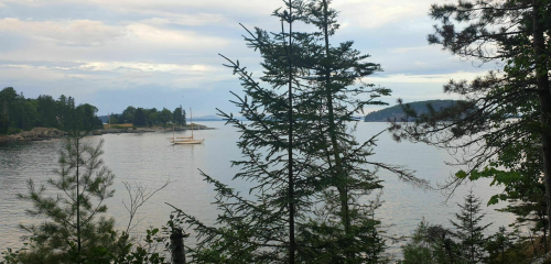 A serene lakeside view with trees in the foreground and a small boat on the calm water under a cloudy sky.