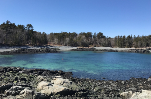 A serene coastal scene featuring clear turquoise water, rocky shores, and a backdrop of trees under a blue sky.