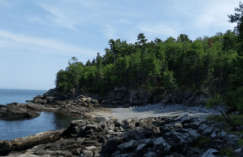 A rocky shoreline with trees and calm water under a clear blue sky.