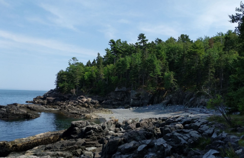 A rocky shoreline with trees and calm water under a clear blue sky.