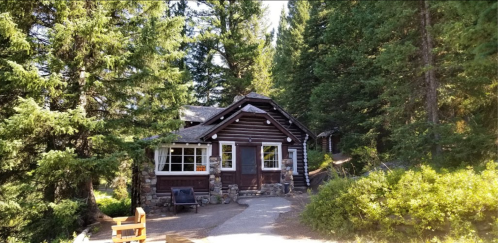 A rustic log cabin surrounded by tall trees and greenery, with a stone pathway leading to the entrance.