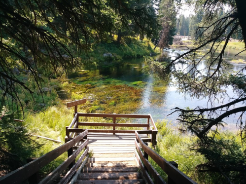 A wooden staircase leads down to a serene river surrounded by lush greenery and trees.